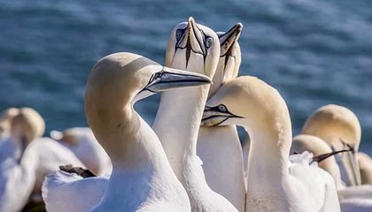 开云体育APP-中超浙江队新帅阿洛伊西：球队将以崭新面貌迎接新赛季