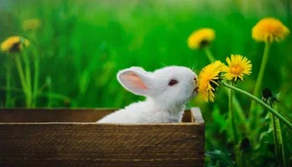 开云体育APP-中超浙江队新帅阿洛伊西:球队将以崭新面貌迎接新赛季